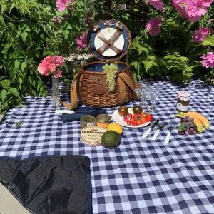 بساط الرحلات المحمول - 3