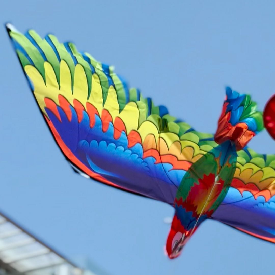 Parrot Kite product thumbnail 19