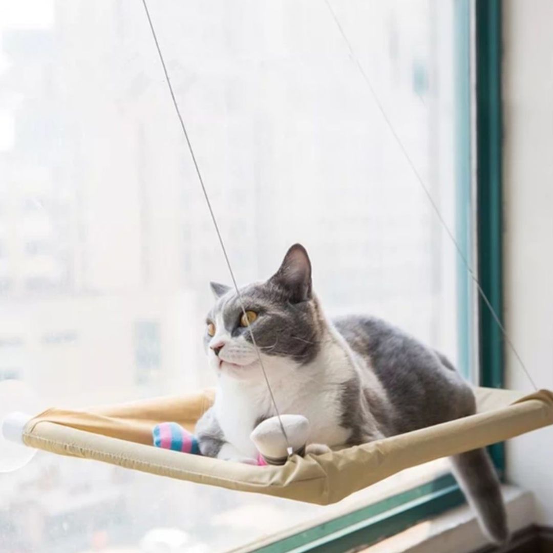 Hammock and Bed For Pets product thumbnail 6