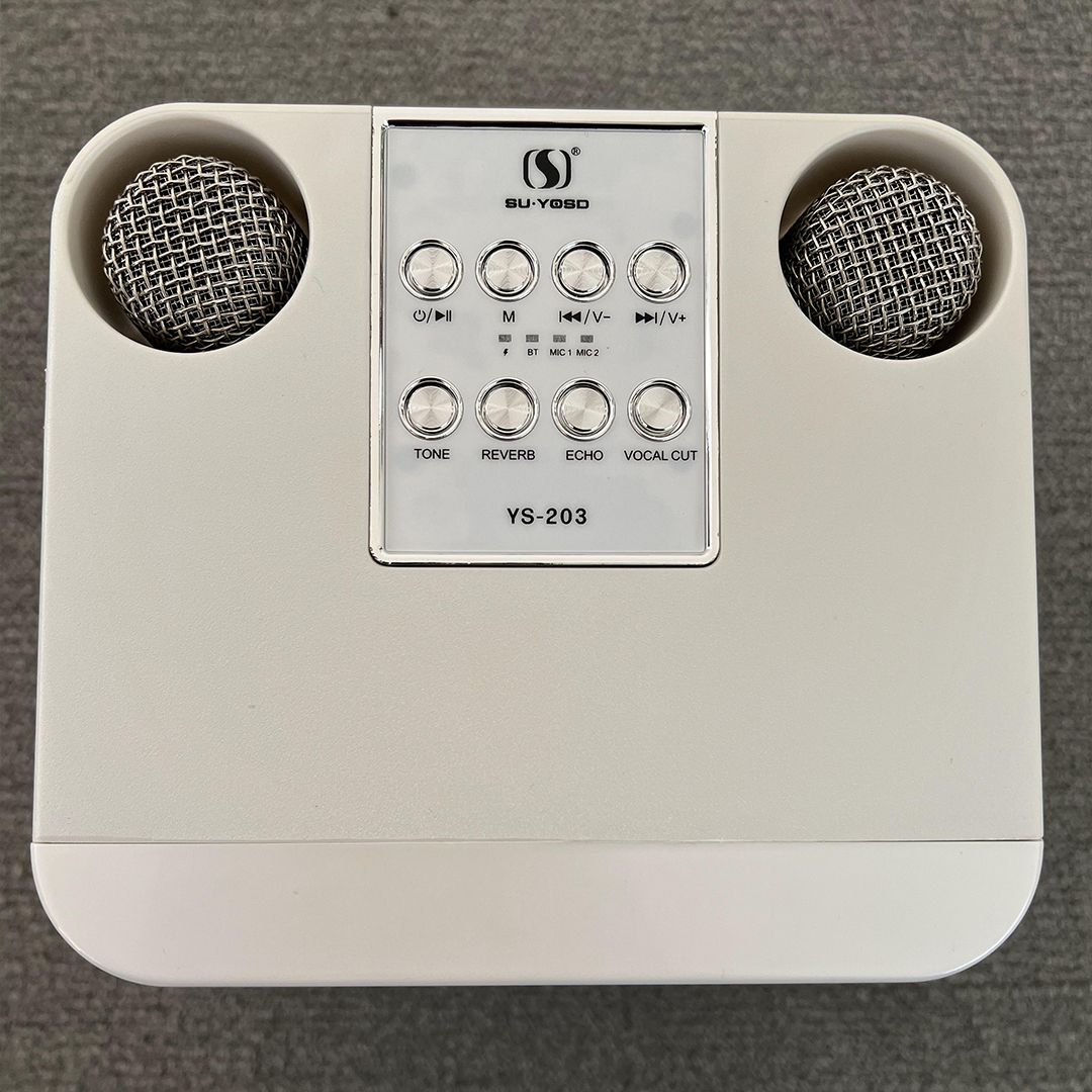 جهاز كاريوكي مع ميكروفونات لاسلكية - 11