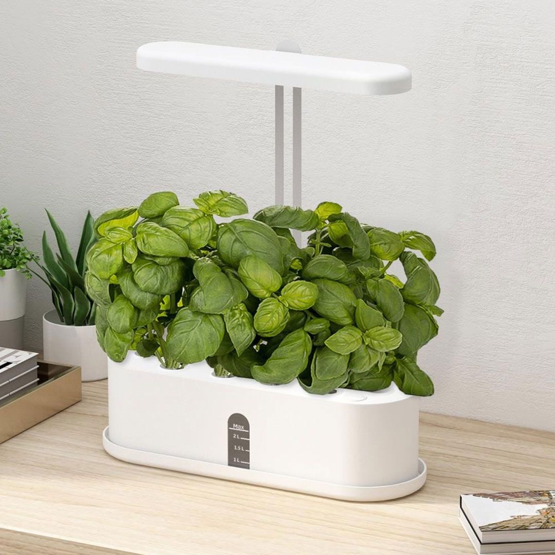 Hydroponics Pond product thumbnail 16