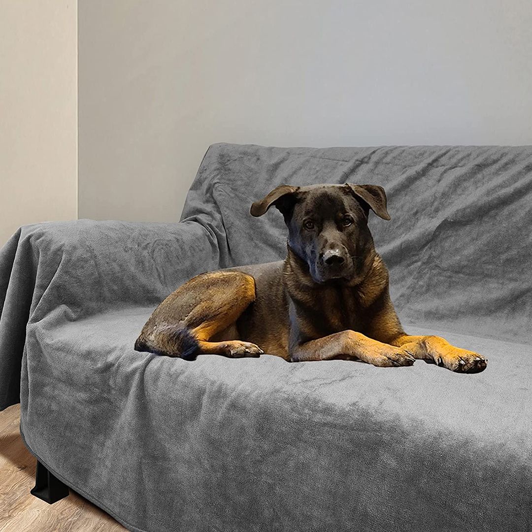 Pet Blanket product thumbnail 6