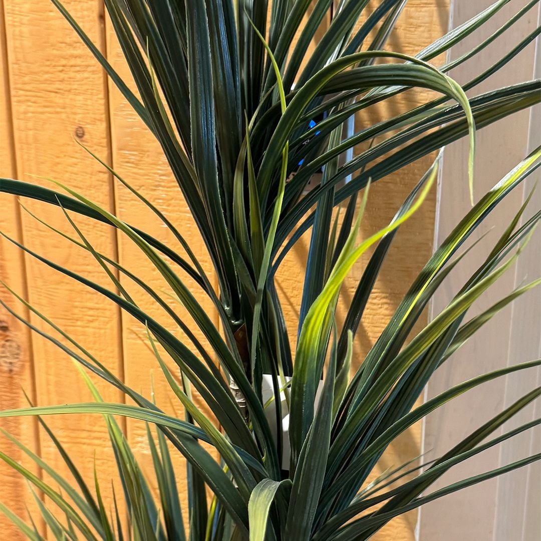 Artificial Dracaena tree product thumbnail 6