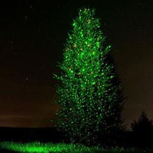 Garden Laser Light with Remote Control - 3