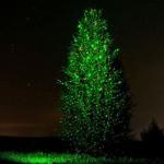 Garden Laser Light with Remote Control - 2