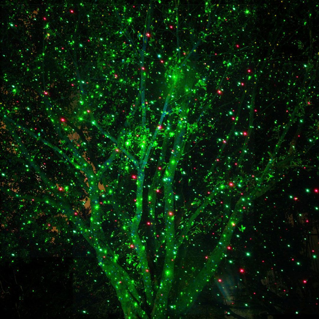 Garden Laser Light with Remote Control - 14