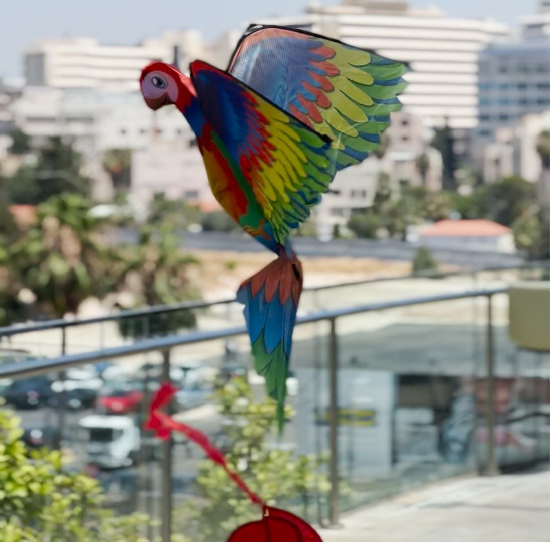 Parrot Kite product thumbnail 20