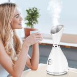 Facial Steamer - 4