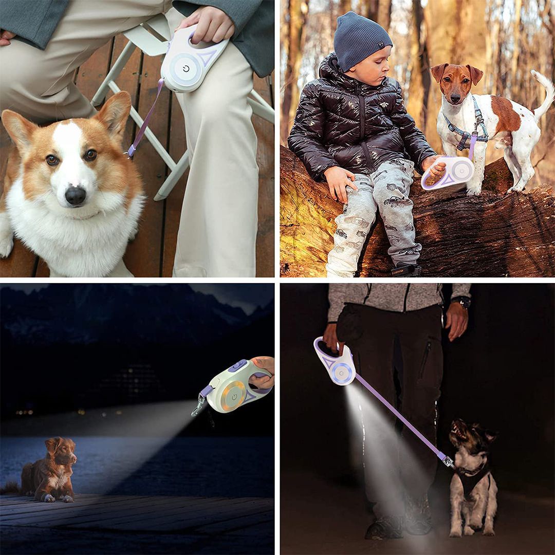Pet Leash product thumbnail 9