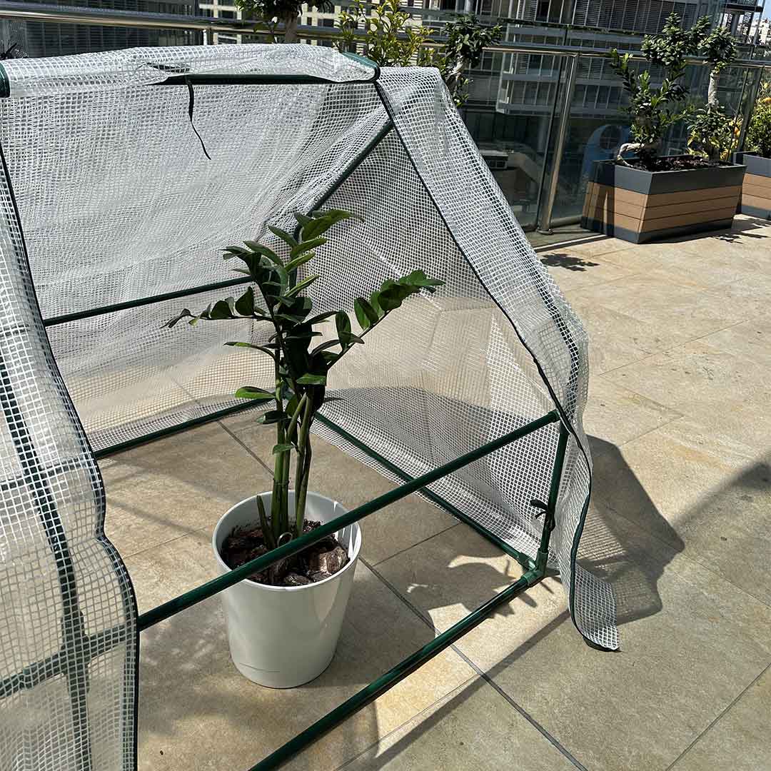 Plastic Grow House with Zipper Doors product thumbnail 5