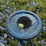 النافورة المُضيئة على الطاقة الشمسية - 24