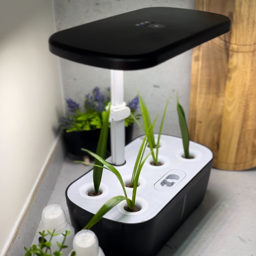 Aquarium Planter with LED Light product thumbnail 15