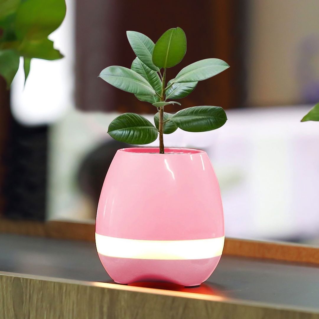 Flower Pot Bluetooth Speaker With Plant product thumbnail 10