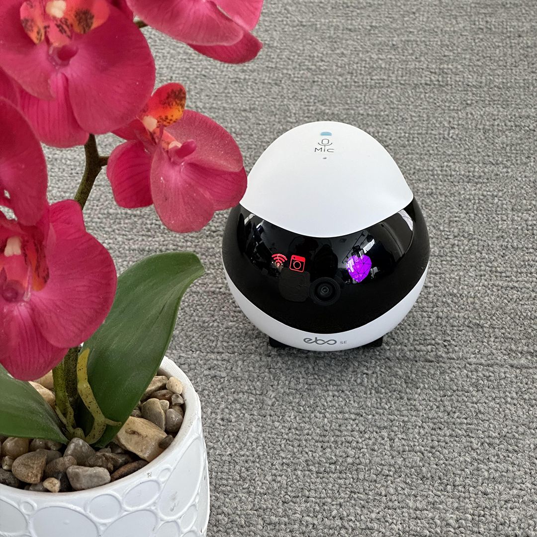 EBO Intelligent Surveillance Robot product thumbnail 4