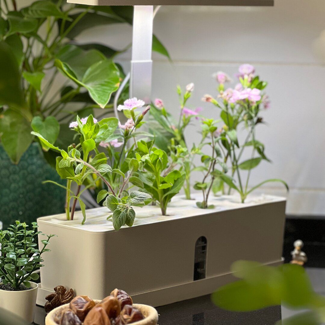 Hydroponics Pond product thumbnail 7