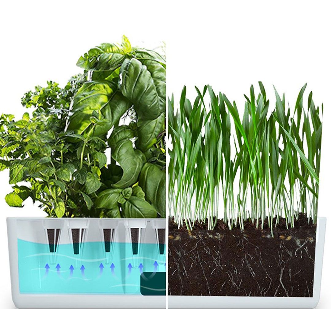 Hydroponics Pond product thumbnail 12