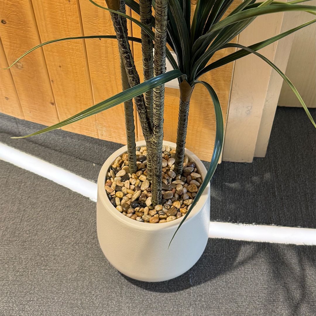 Artificial Dracaena tree product thumbnail 7