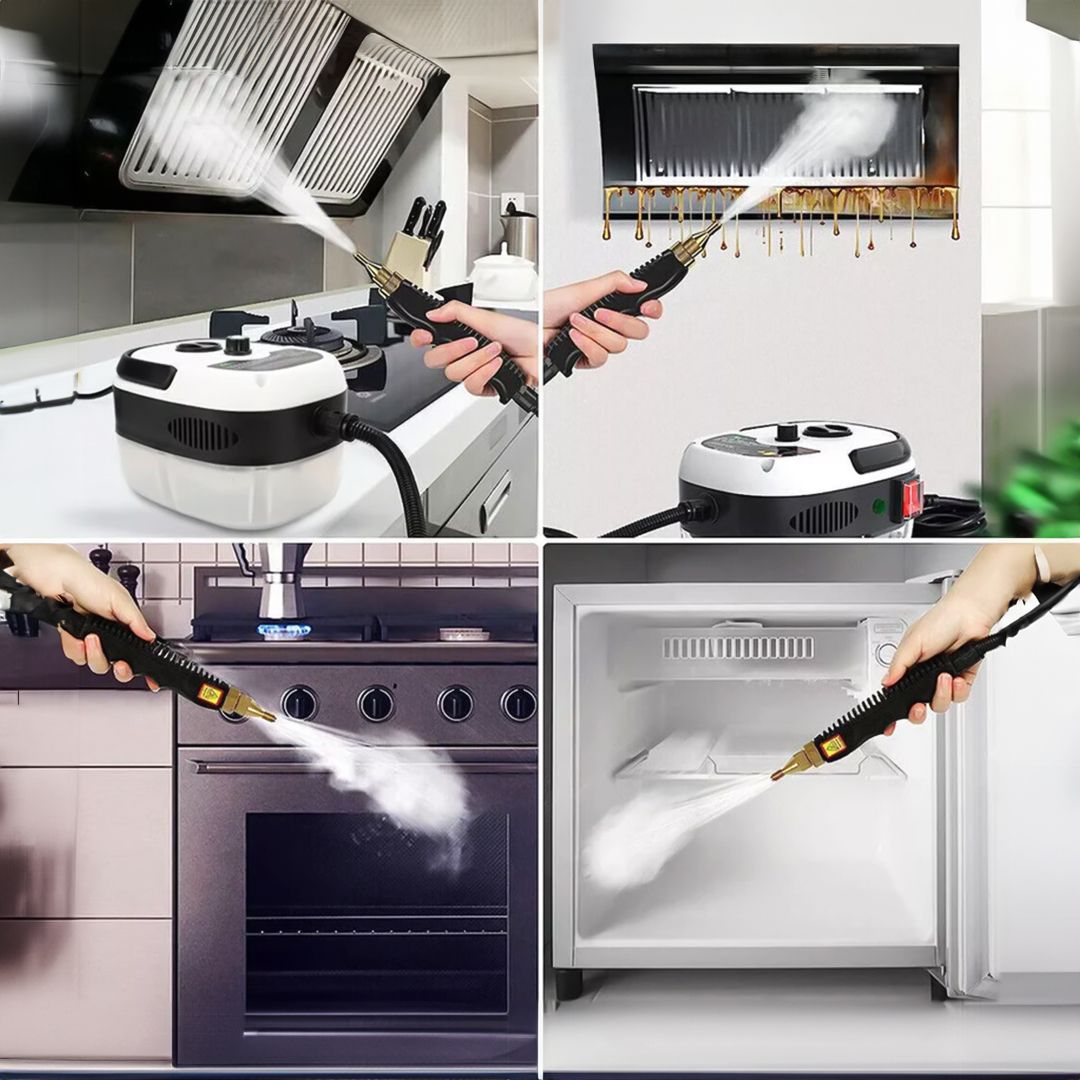 Steam Cleaning and Disinfection Device product thumbnail 6