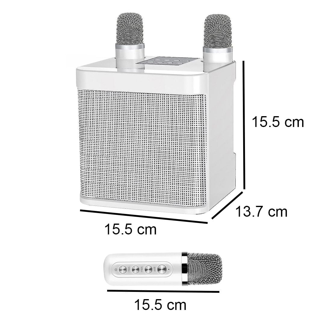 Karaoke Machine with Wireless Microphones product thumbnail 15