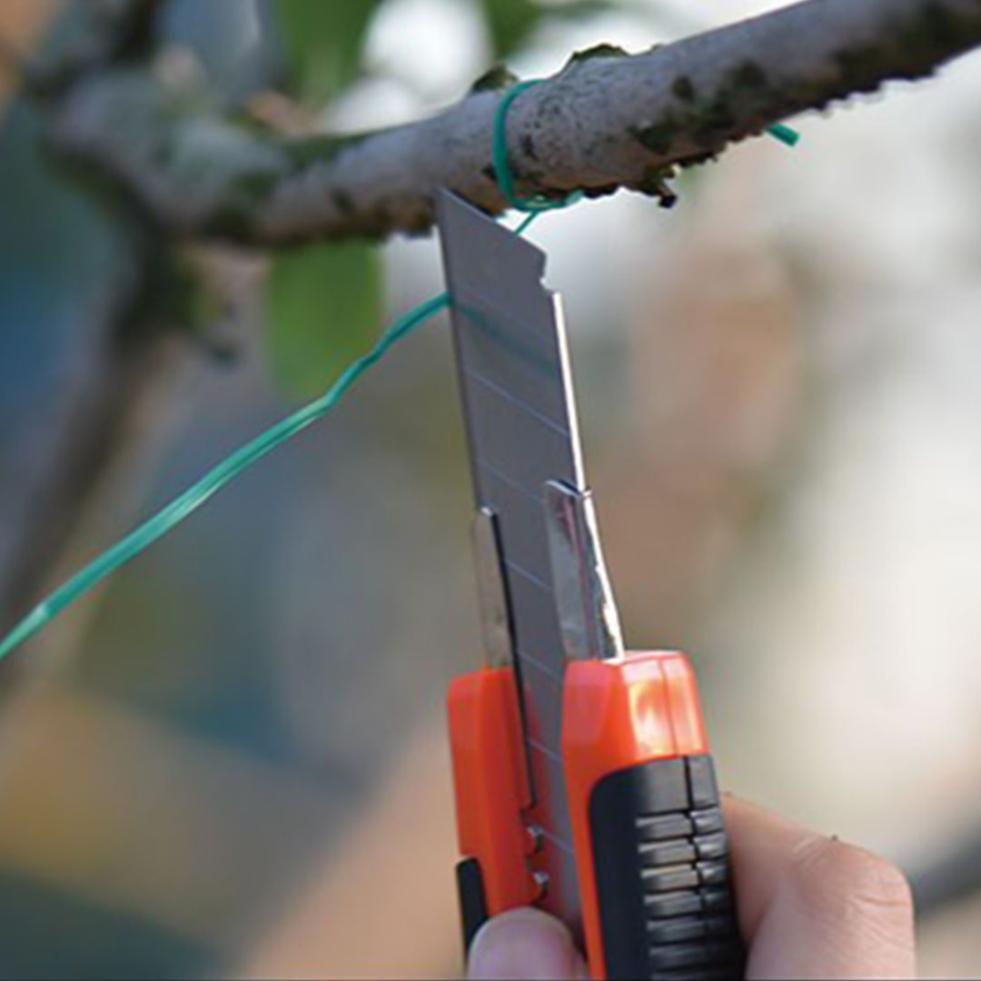 Garden Tool Set product thumbnail 3
