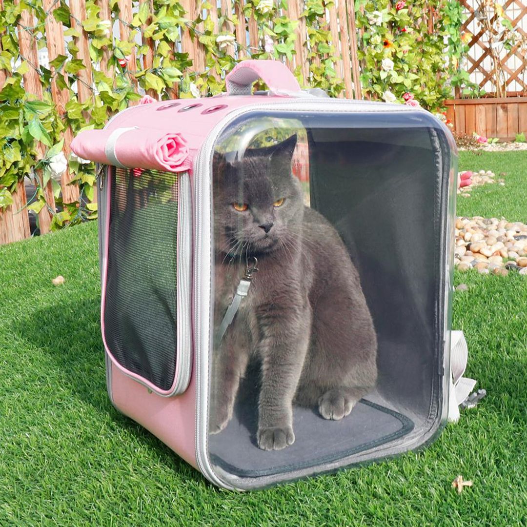 Pet Carrier Backpack product thumbnail 3
