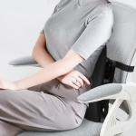 Back Cushion with Breathable Mesh - 12