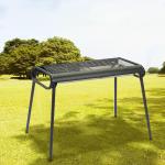 باربيكيو و منقل للنزهات - 14