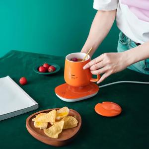 مج مع قاعدة تسخين حرارية - 4