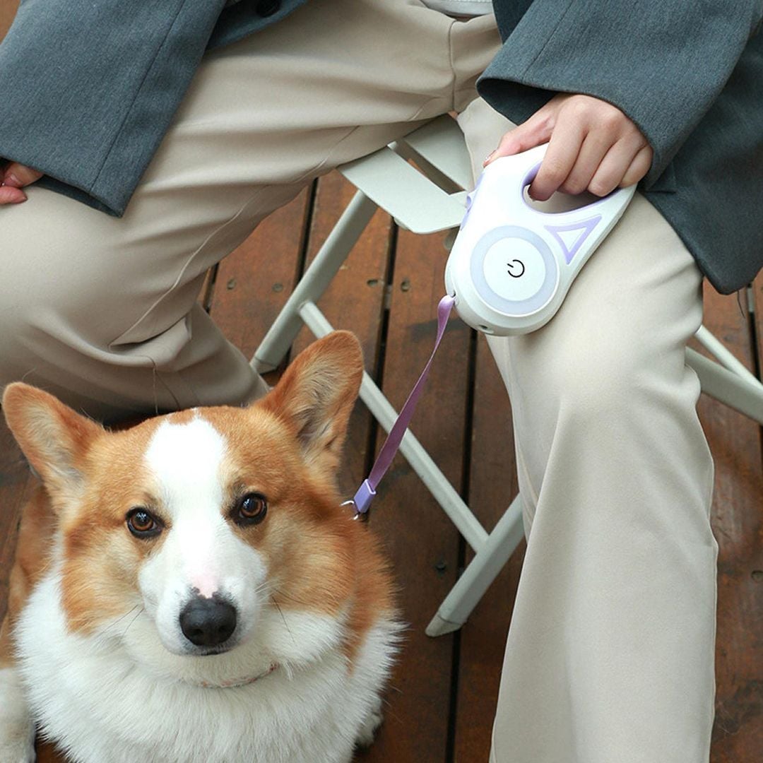 Pet Leash product thumbnail 3