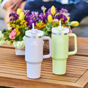 Stanley Tumbler Cup - 3