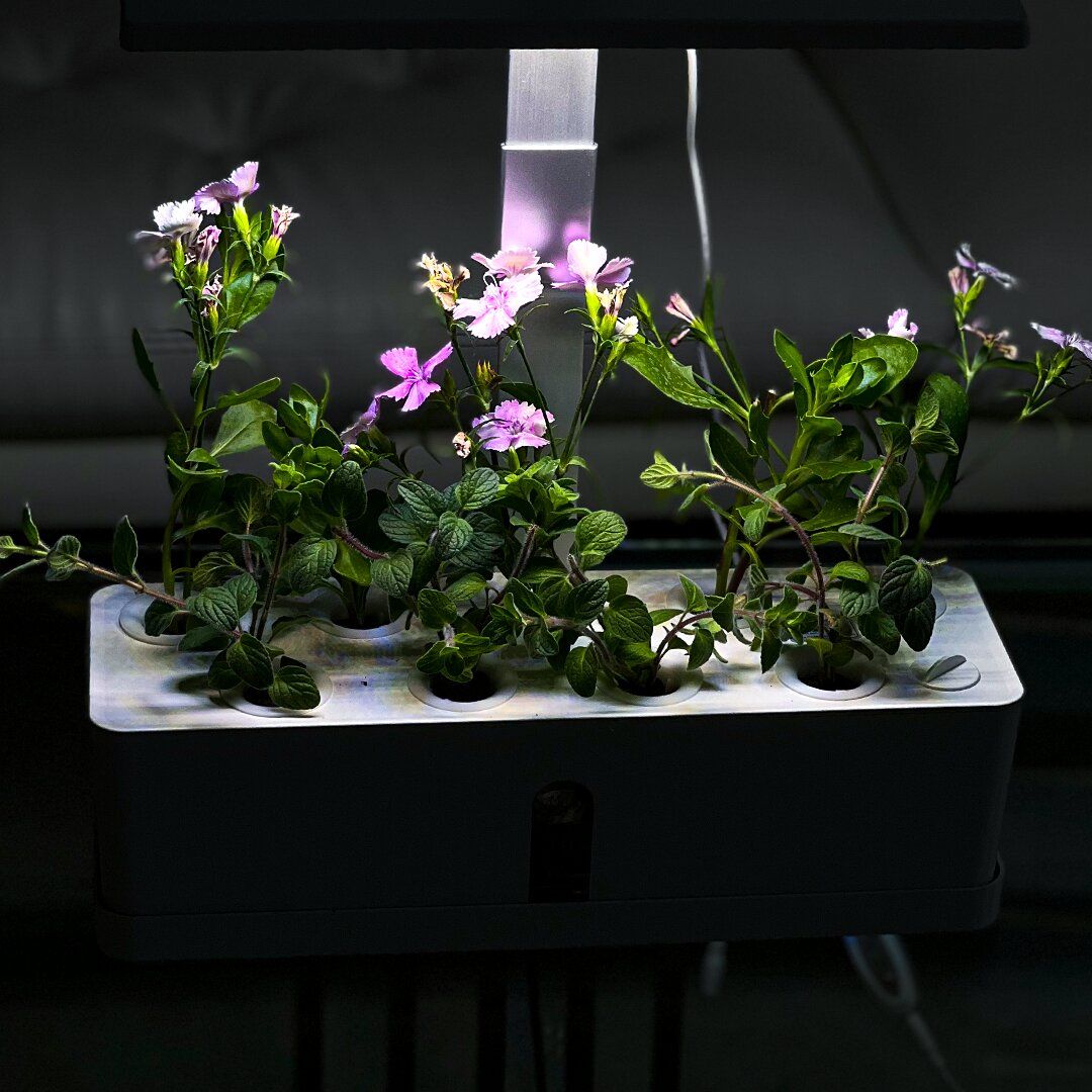 Hydroponics Pond product thumbnail 6