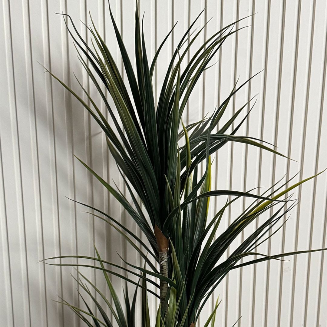 Artificial Dracaena tree product thumbnail 5
