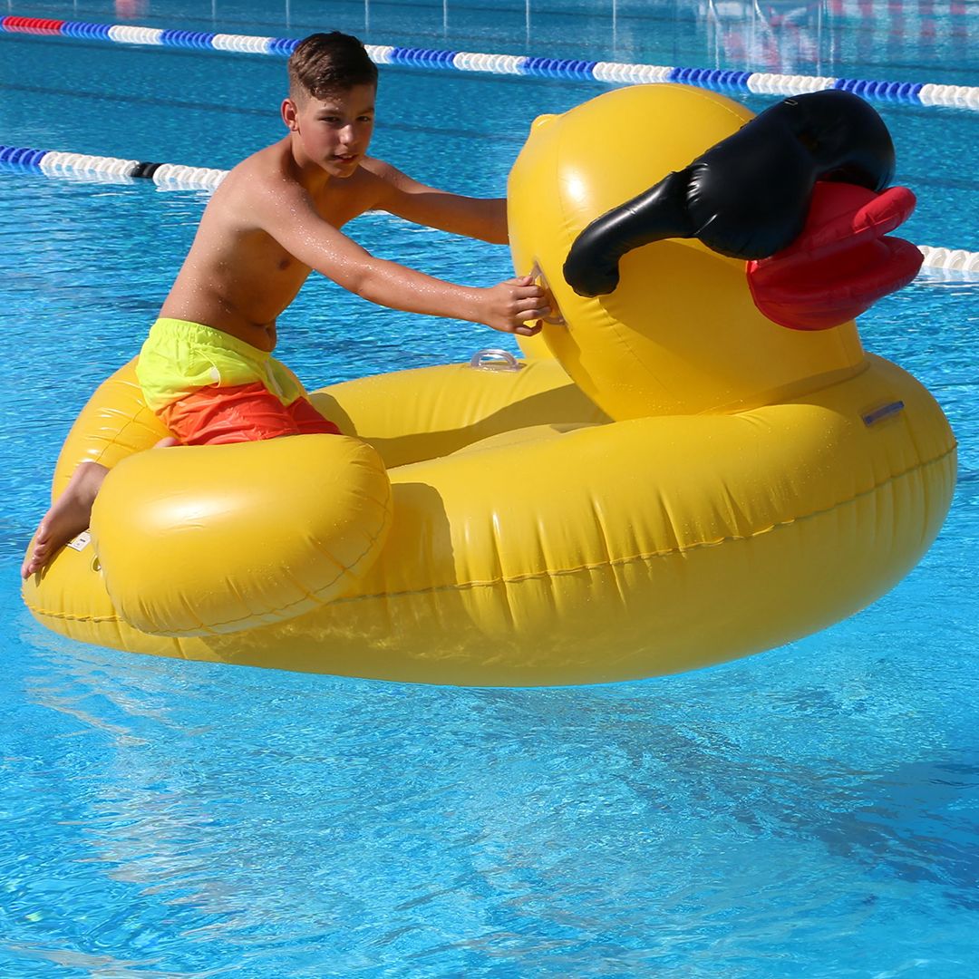 Inflatable Duck product thumbnail 2