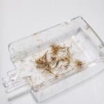 جهاز إزالة تقصف الشعر - 21