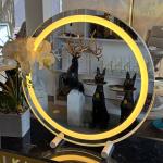 مرآة مكياج دائرية مضيئة - 16