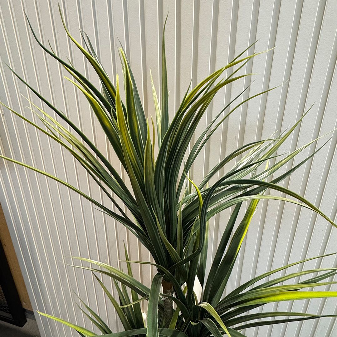 Artificial Dracaena tree product thumbnail 8