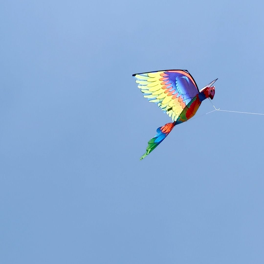 Parrot Kite product thumbnail 12