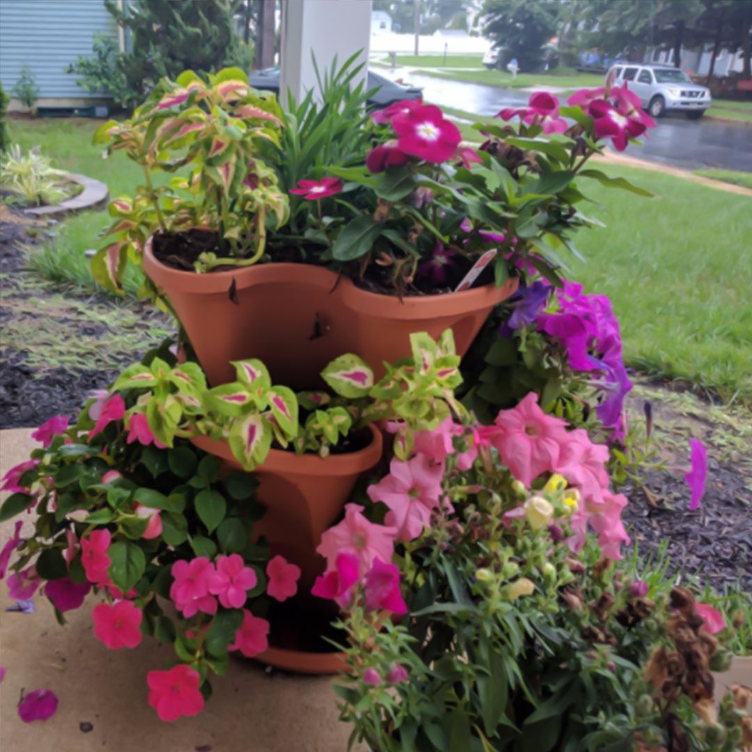 Three Layers Pot Flower product thumbnail 13