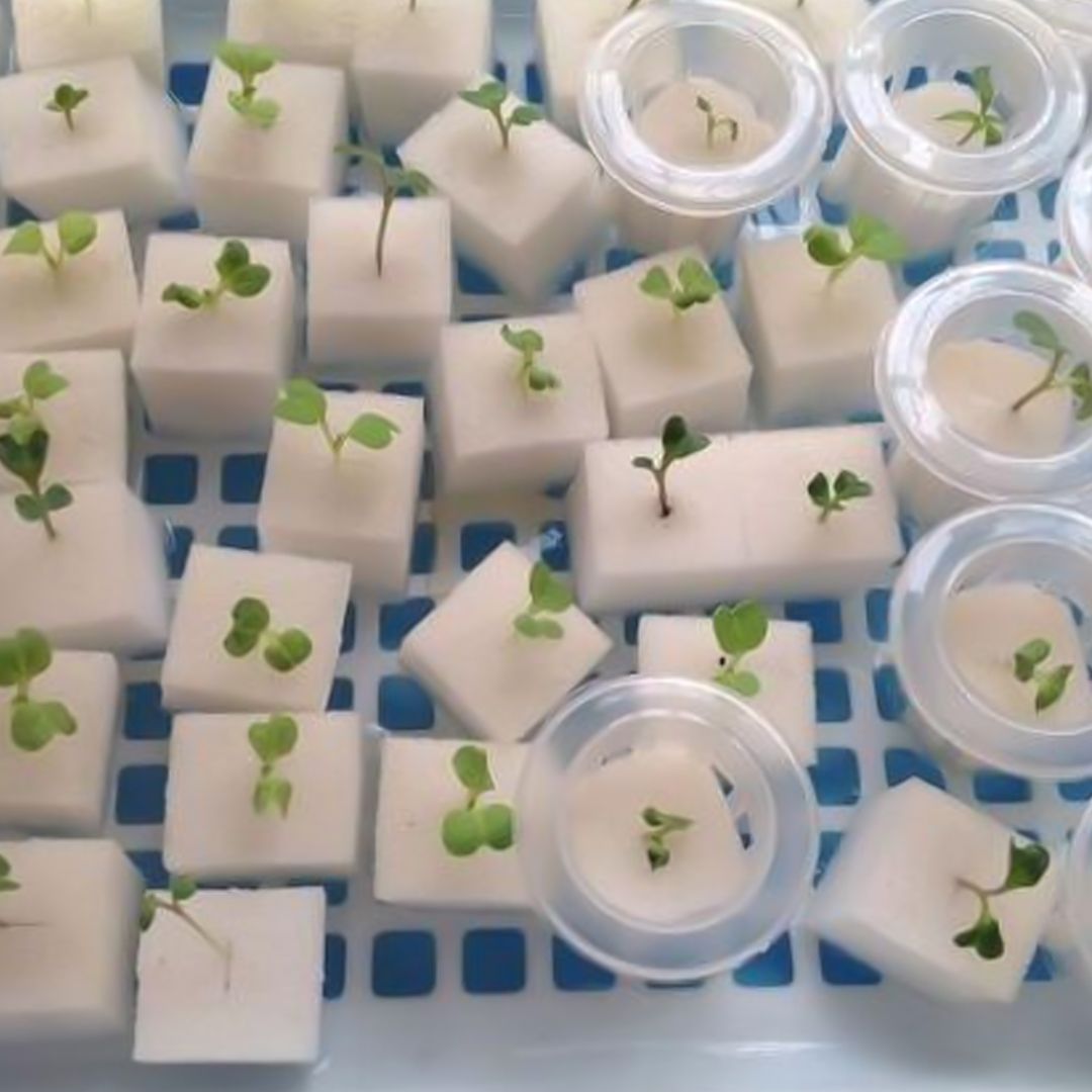 Automatic Water Planting Machine product thumbnail 2