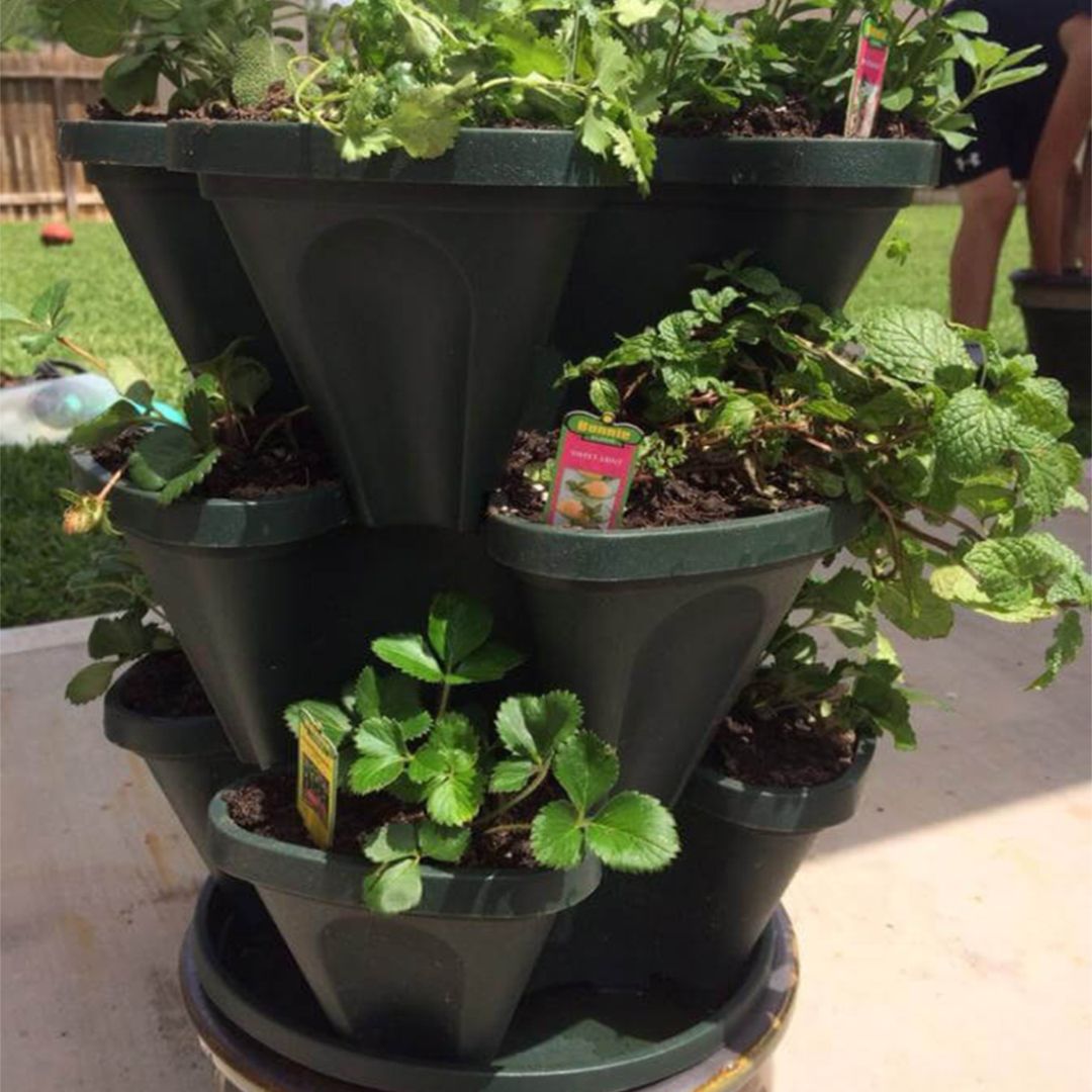 Three Layers Pot Flower product thumbnail 11
