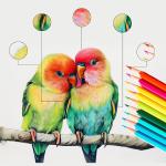 مجموعة أقلام التلوين الخشبية - 180 قلم - 4