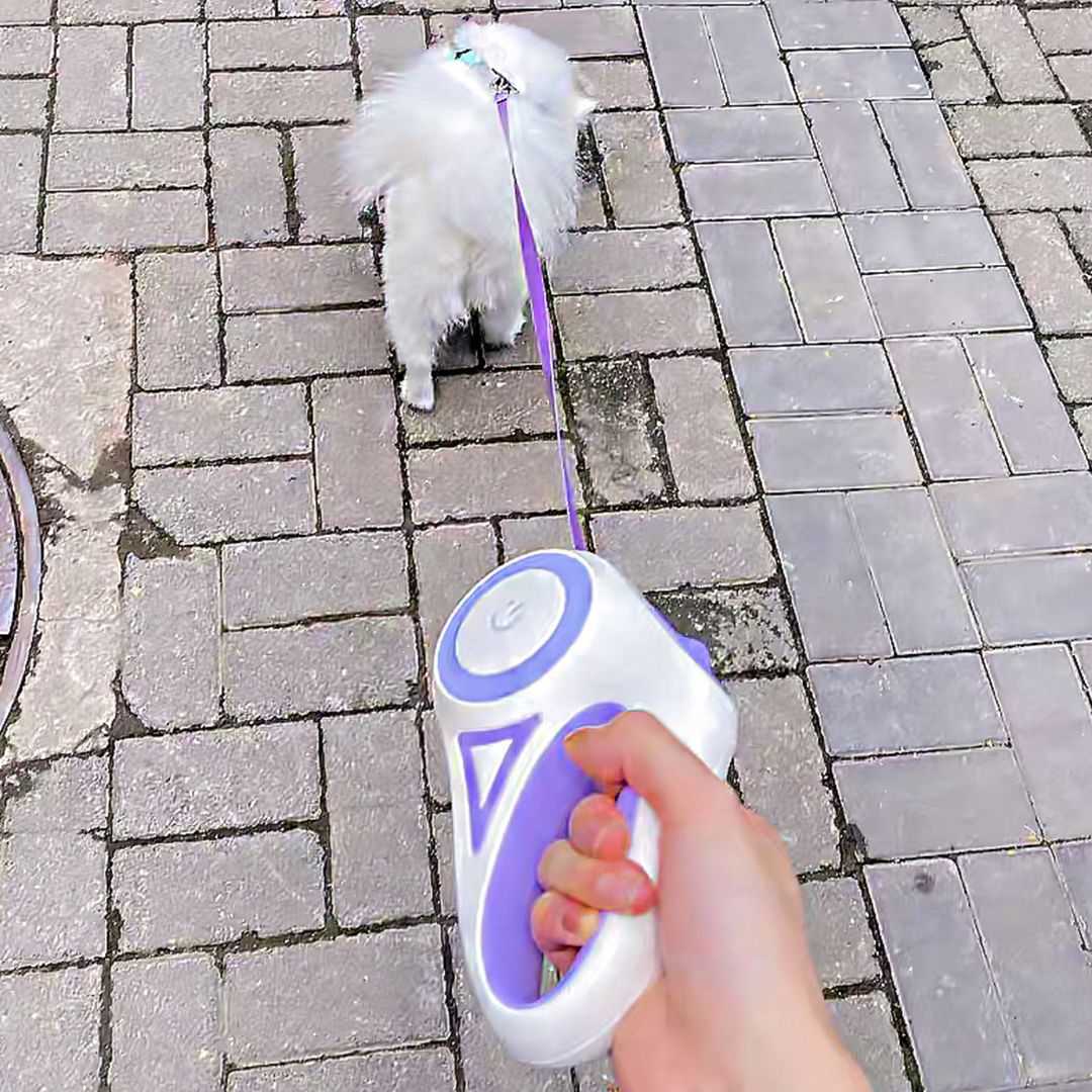 Pet Leash product thumbnail 16