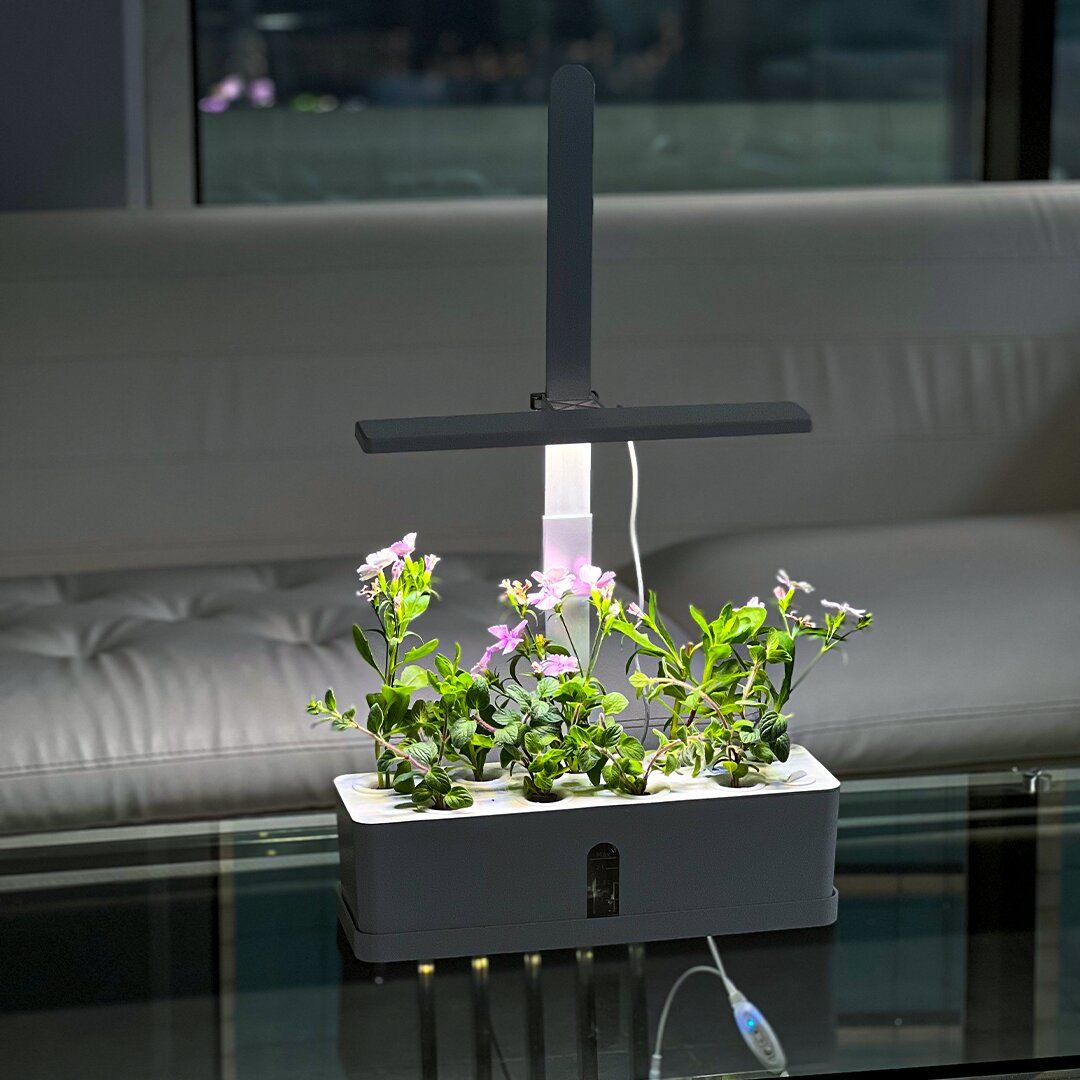 Hydroponics Pond product thumbnail 2