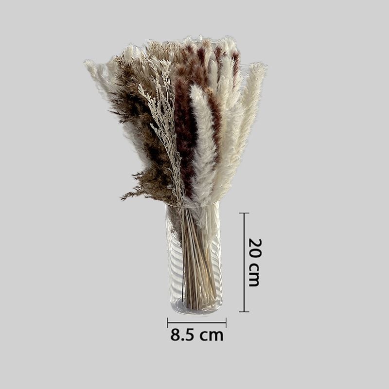 Vase with Dried Pampas Flowers product thumbnail 13