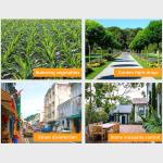 مضخة رش المبيدات	 - 9