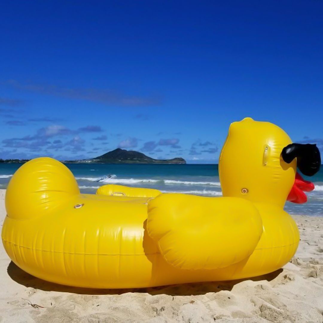 Inflatable Duck product thumbnail 7