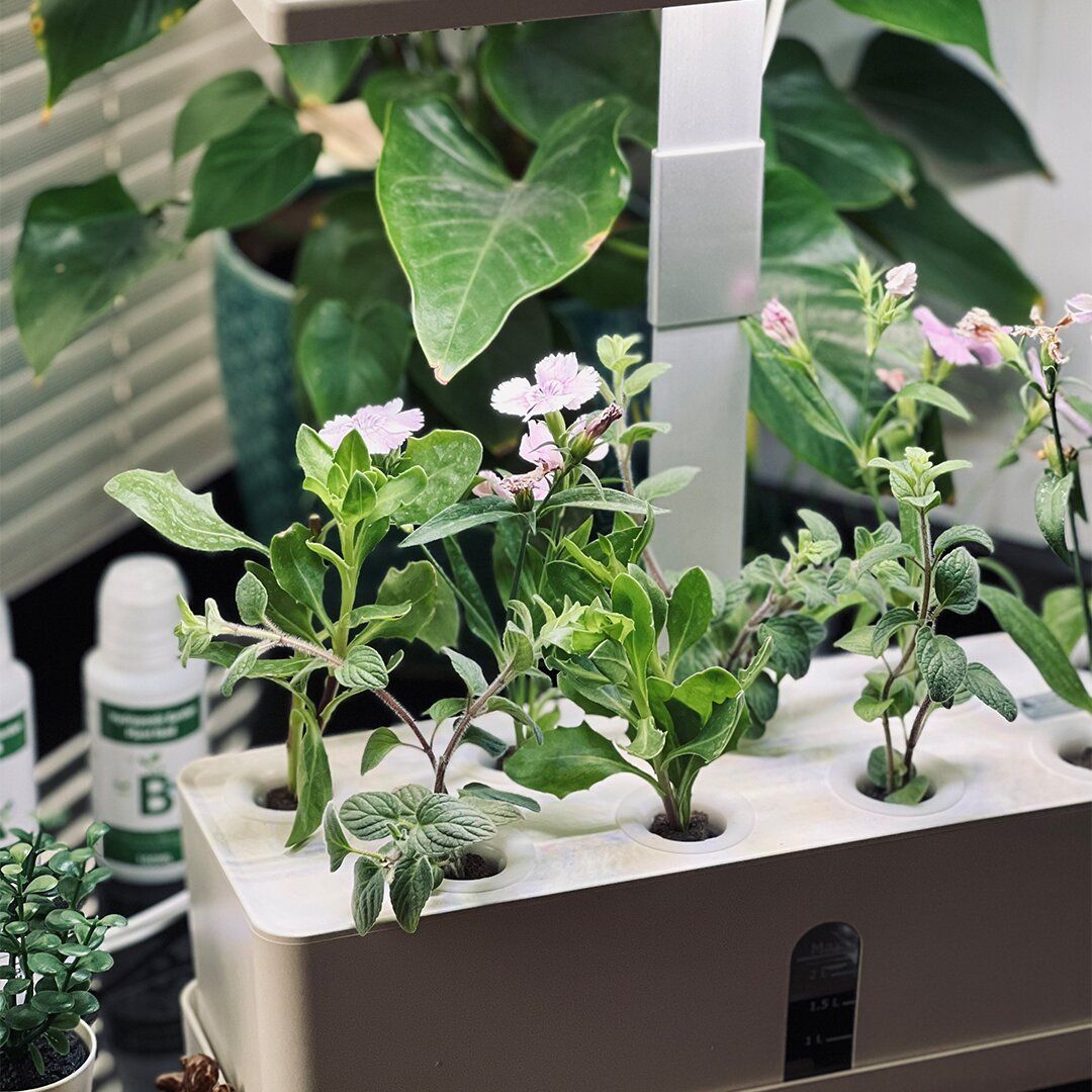 Hydroponics Pond product thumbnail 11