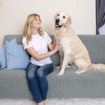  غطاء الكنب المطاطي - 3 مقاعد - 19