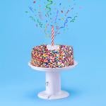 Surprise Cake Popping Stand - 4