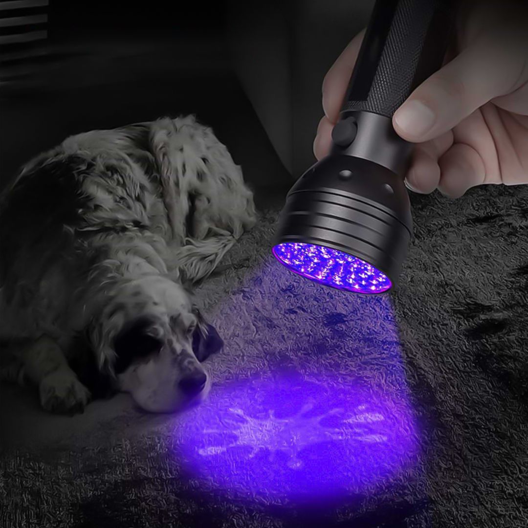 Portable UV Flashlight product thumbnail 2